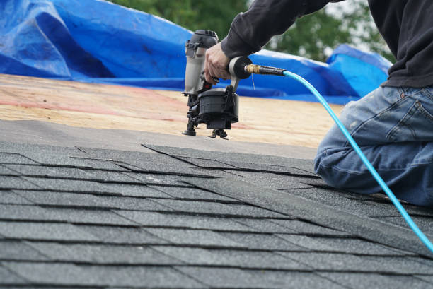 Best Roof Gutter Cleaning  in Lincoln Heights, OH