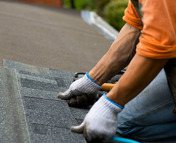 Best Roof Gutter Cleaning  in Lincoln Heights, OH